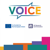 thumbnail for VOICE Invites Stakeholders to Shape New Digital Platform for Artist-Led Environmental Innovation
