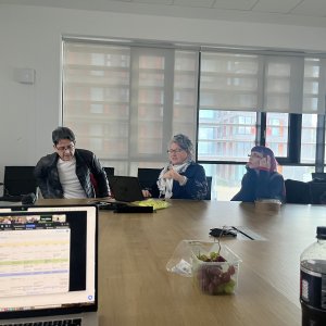 thumbnail for VOICE Project Advances at Dublin Design Sprint